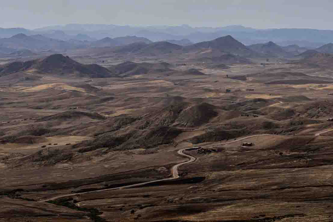 Bosque de Cedros